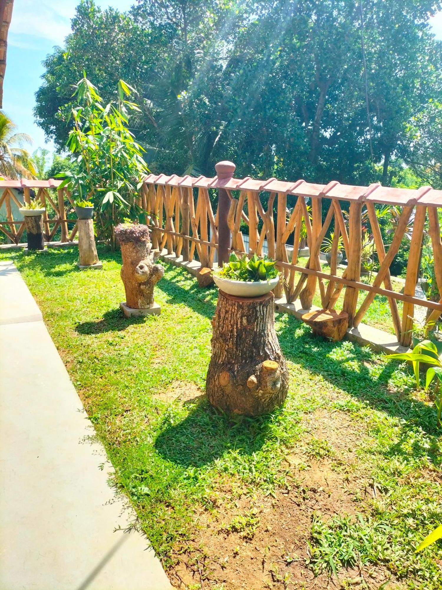 הוילה דיקוולה Blue Ocean Tree House Hiriketiya מראה חיצוני תמונה